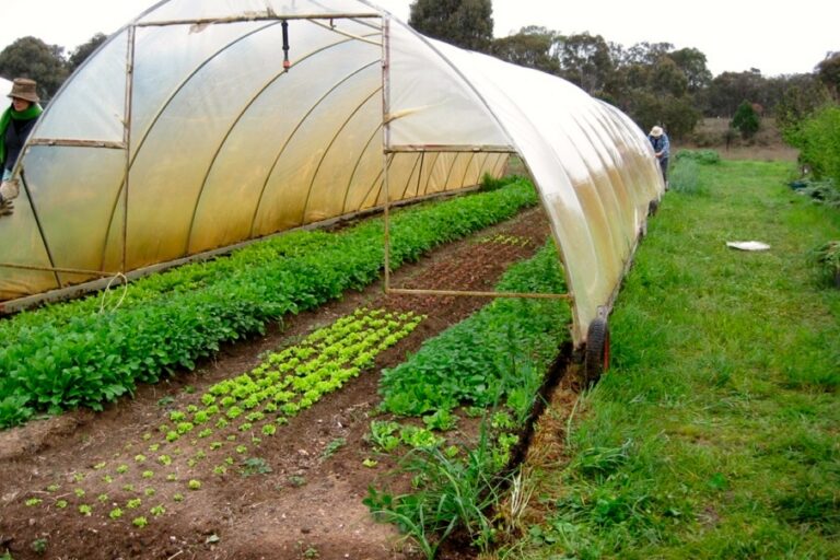 1309 movable greenhouse – 08