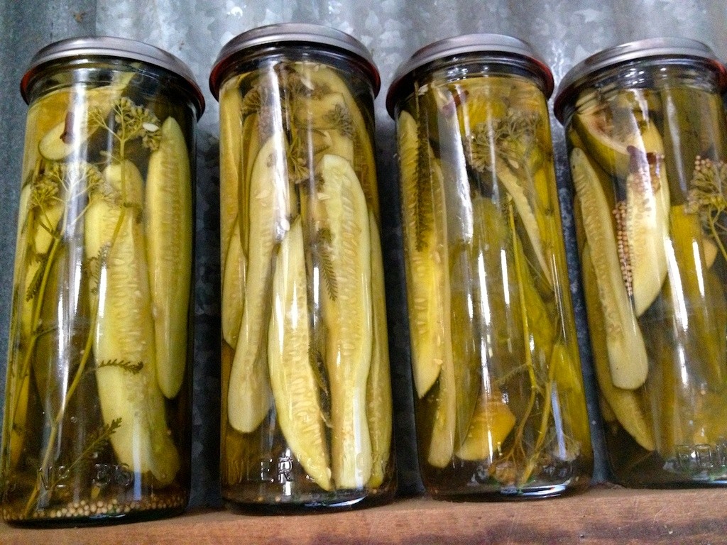 Whole Pickled Green Tomatoes - Milkwood: permaculture courses, skills +  stories