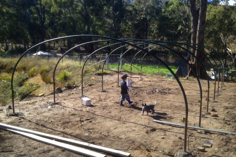 DIY polypipe greenhouse