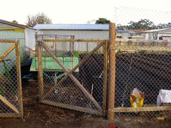 wagtail urban farm04