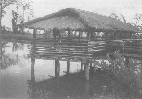 Animal housing located over fish ponds to utilize manure as fish food