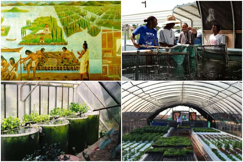 rais - regional aquaculture information system: photo library