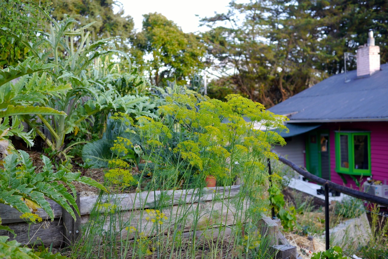 1402 Good Life Permaculture12