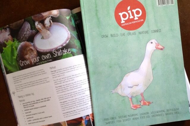 140326 pip mag1