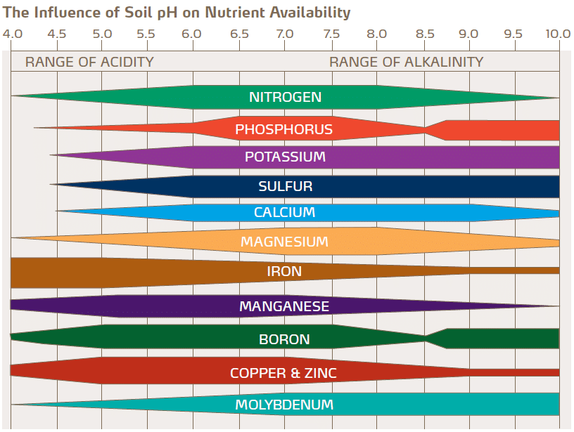 Ph Level Chart For Vegetables