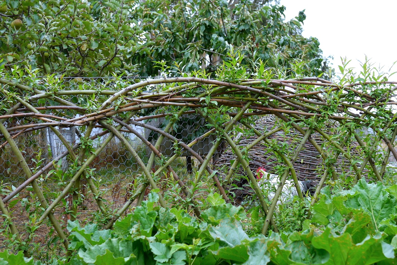 Agrarian Kitchen04
