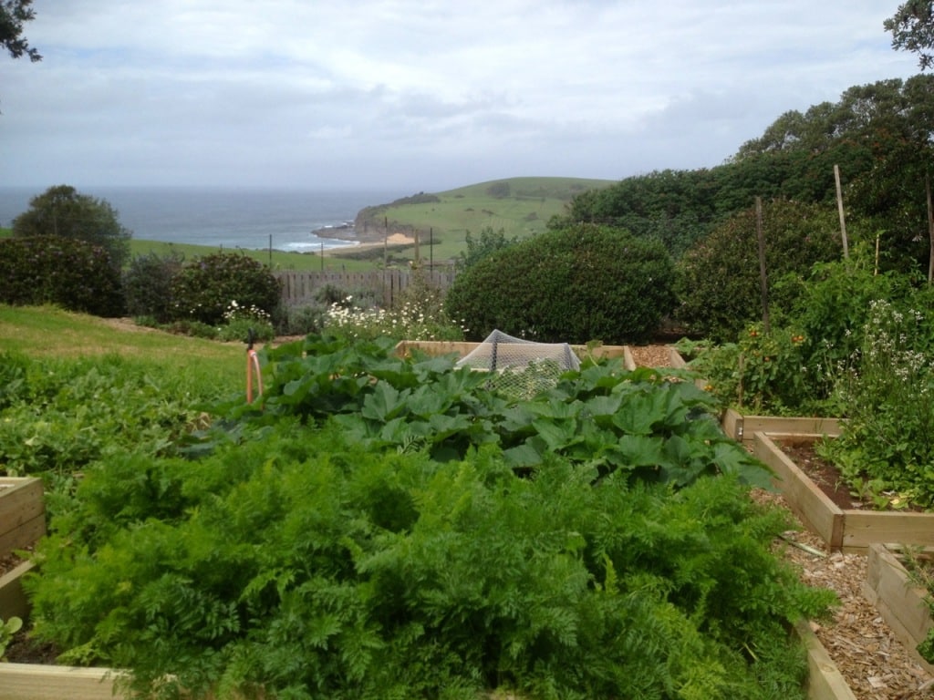 Visiting Buena Vista Farm Milkwood permaculture courses, skills