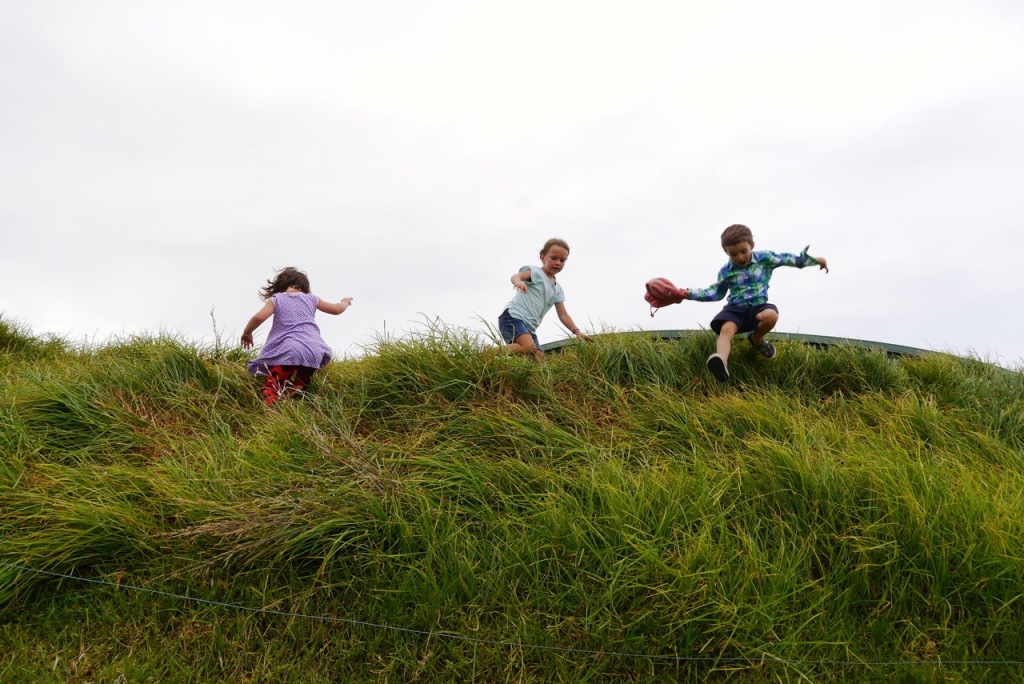 Visiting Buena Vista Farm Milkwood permaculture courses, skills