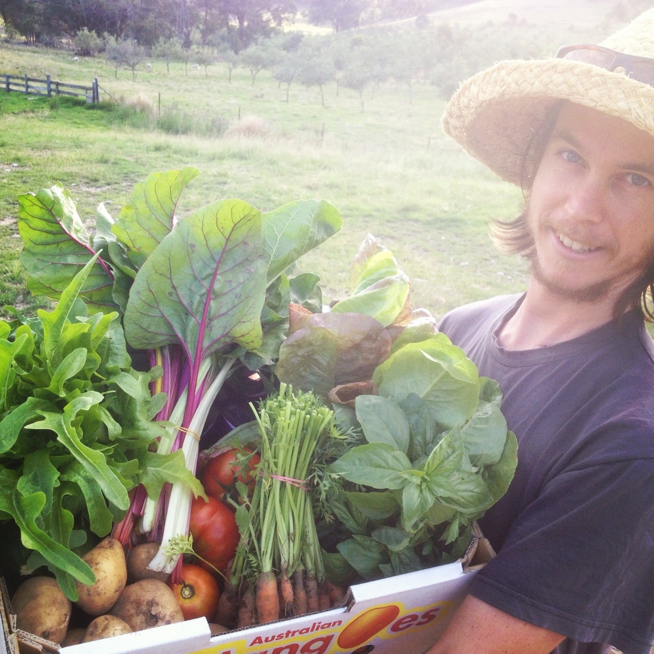 Michael Hewins and Milkwood Farm veggies