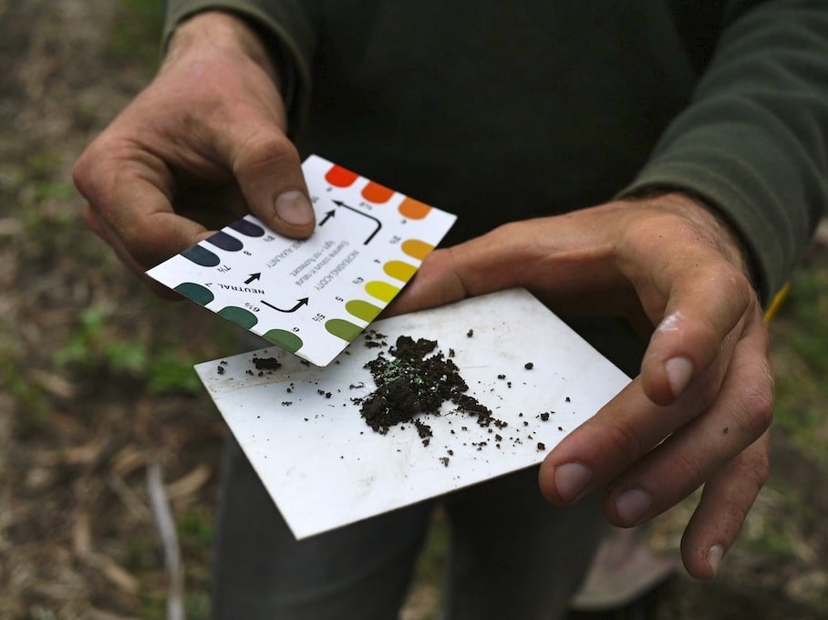 How to test your garden soil's pH, and fix it for great veggies