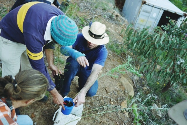 1403 pdc treeplant03