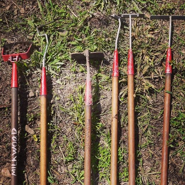 oscillating stirrup hoe and friends