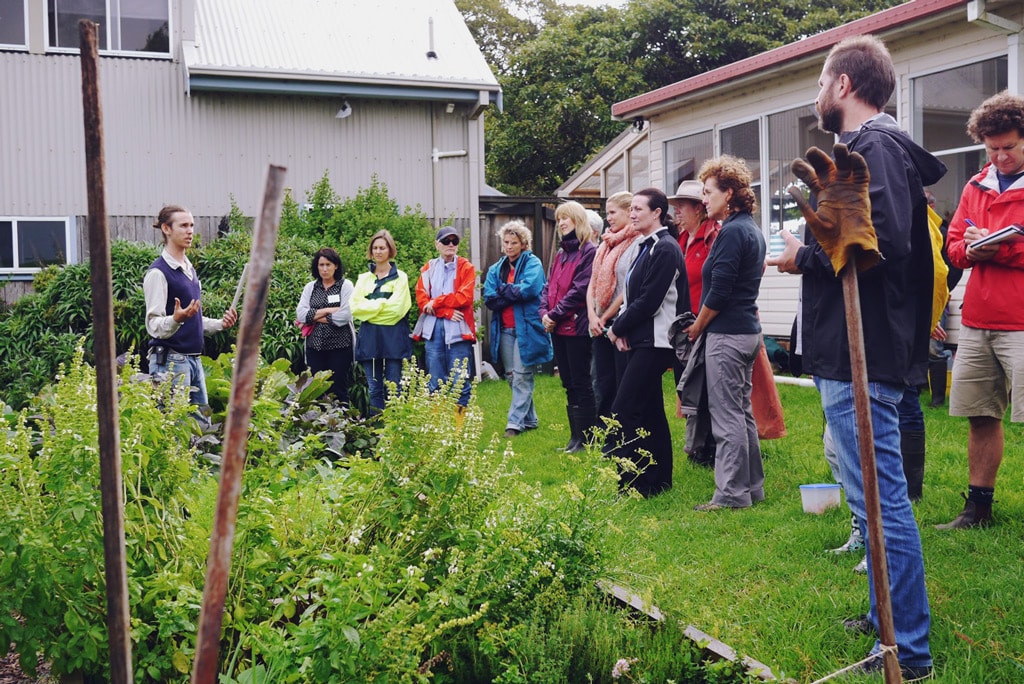 Talking plant guilds - Serious Backyard Veggies at Buena Vista Farm