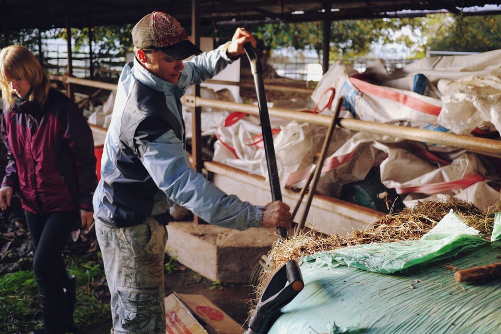 Compost making - Serious Backyard Veggies at Buena Vista Farm