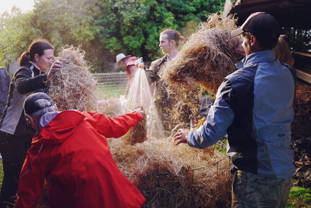 Compost making - Serious Backyard Veggies at Buena Vista Farm