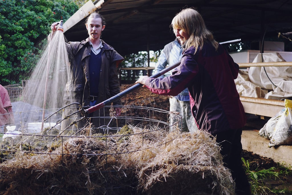 Compost making - Serious Backyard Veggies at Buena Vista Farm