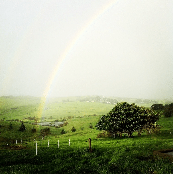 BuenaVista