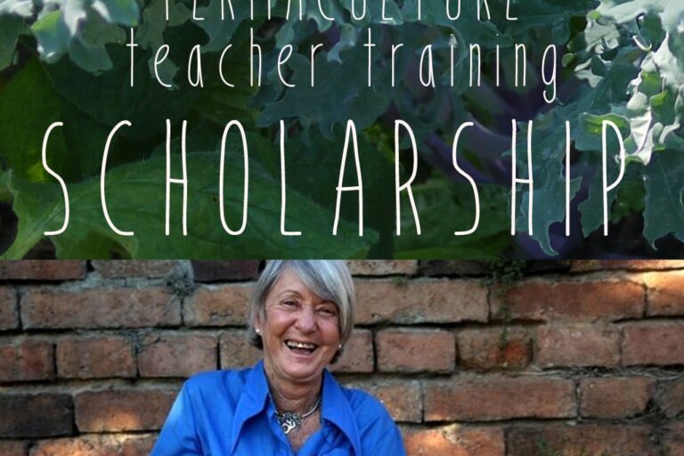 scholarship 4×3