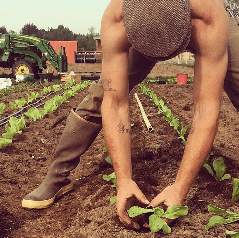 working hands farm