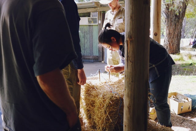 strawbale building at Milkwood's Natural Building course