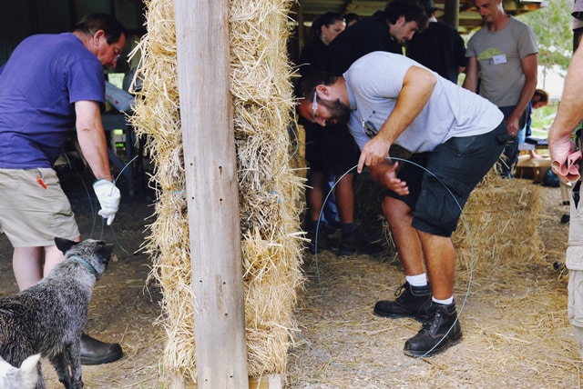 strawbale building at Milkwood's Natural Building course