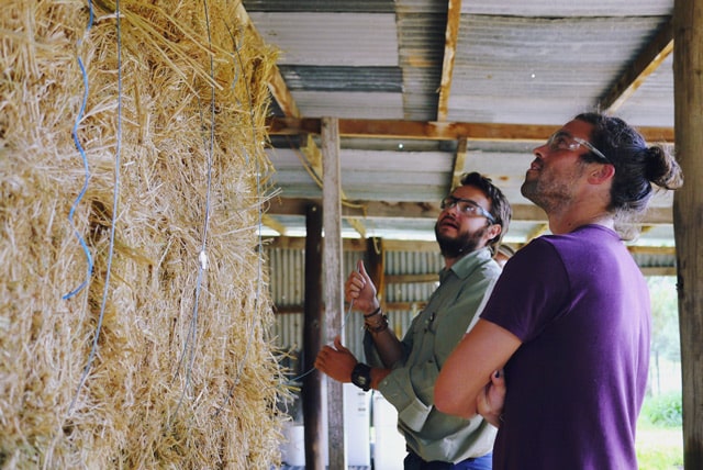 strawbale building at Milkwood's Natural Building course