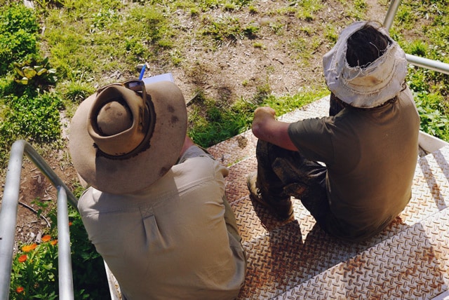 Milkwood's Natural Building course