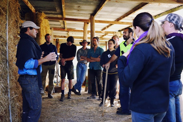 making light earth walls at Milkwood's Natural Building course