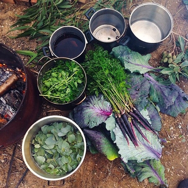 Experiments in Colour DIY Plant Dyes Milkwood permaculture courses