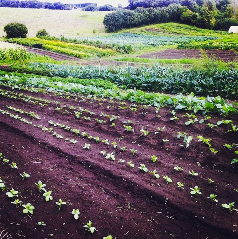 Transition Farm, Victoria