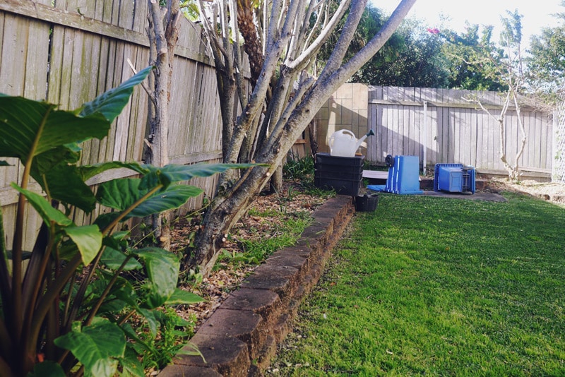 Obligatory 'before' shot of the tepid garden, soon to be stacked with veg.