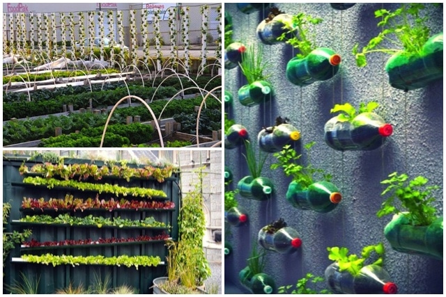 Researching: DIY vertical garden ideas that actually look ...