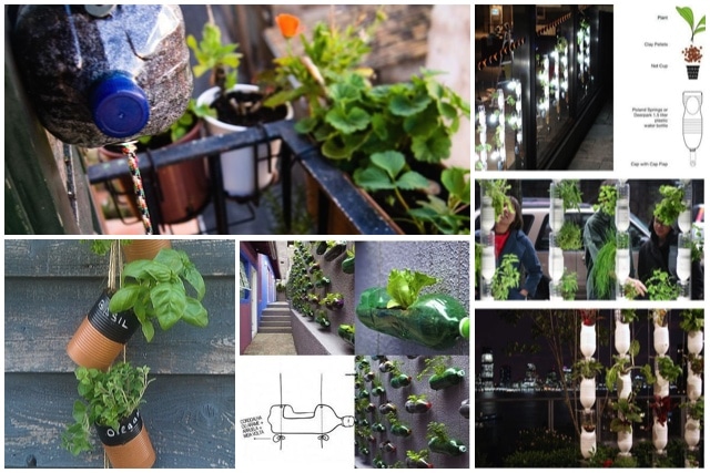 Vertical Garden Ideas Diy researching: diy vertical garden ideas that actually look good Vertical Garden Ideas Diy researching: diy vertical garden ideas that actually look good
