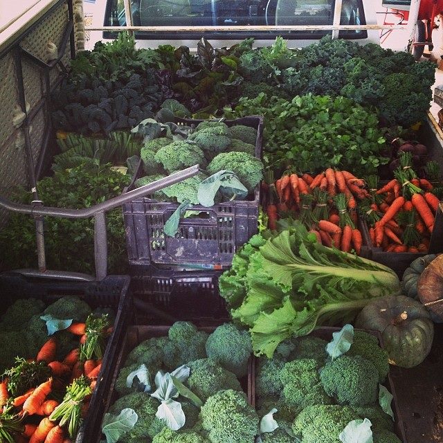 Old Mill Road's produce all picked and packed and ready to market - photo by Fraser Bayley