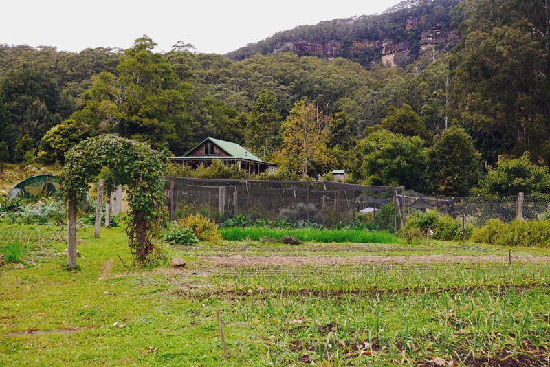 1408-kangaroo-valley-permaculture---06