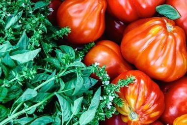 How to grow the Best Ever Tomatoes