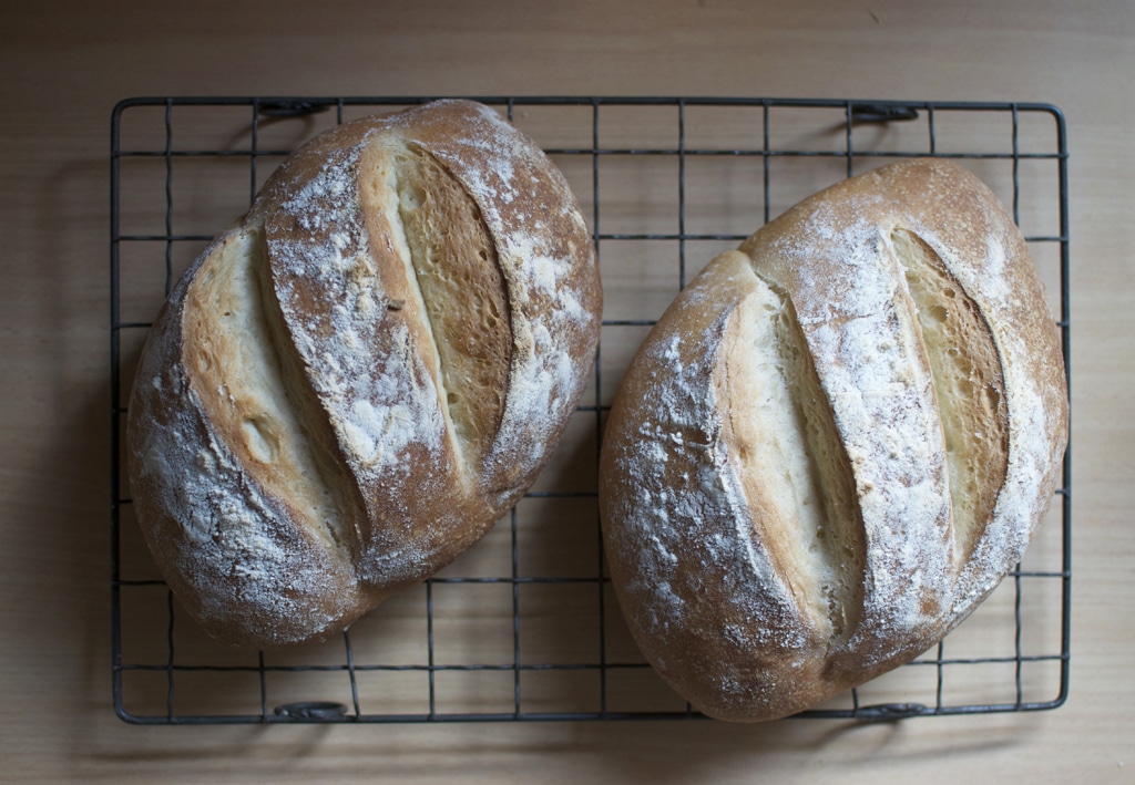 crusty loaves - Brydie Piaf