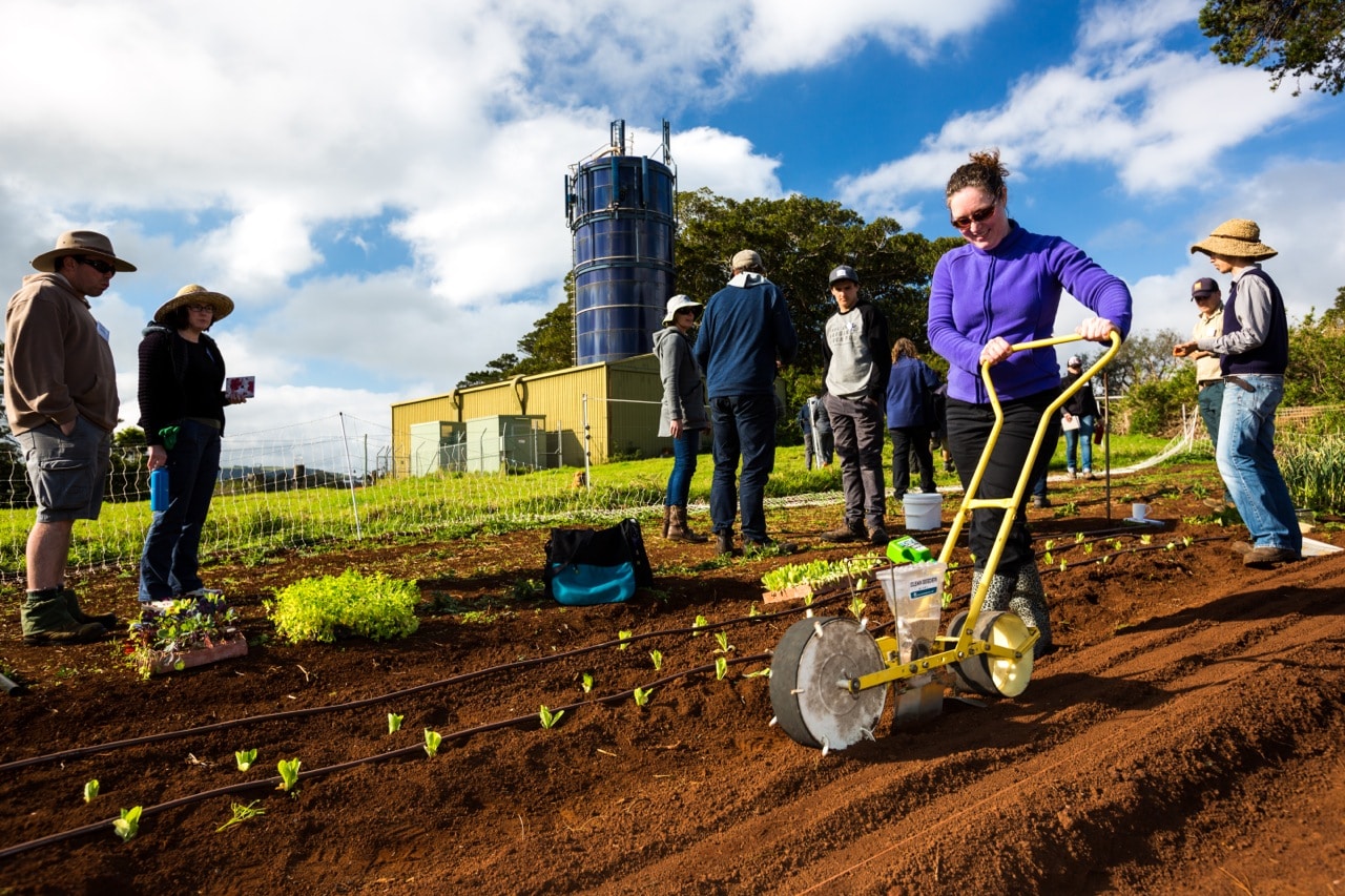 Intro to Market Gardening | Milkwood Permaculture, 13 Sep 2014.