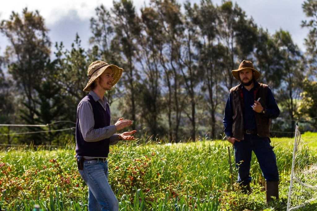 Intro to Market Gardening | Milkwood Permaculture, 13 Sep 2014.