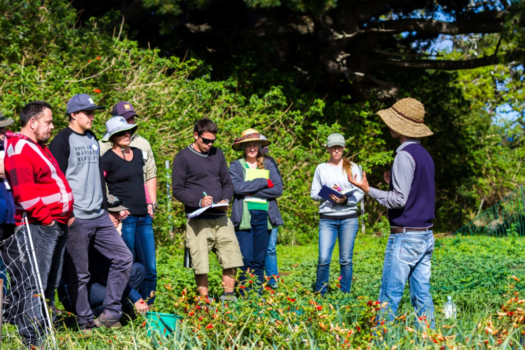 Intro to Market Gardening | Milkwood Permaculture, 13 Sep 2014.