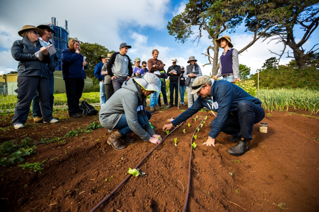 Intro to Market Gardening | Milkwood Permaculture, 13 Sep 2014.