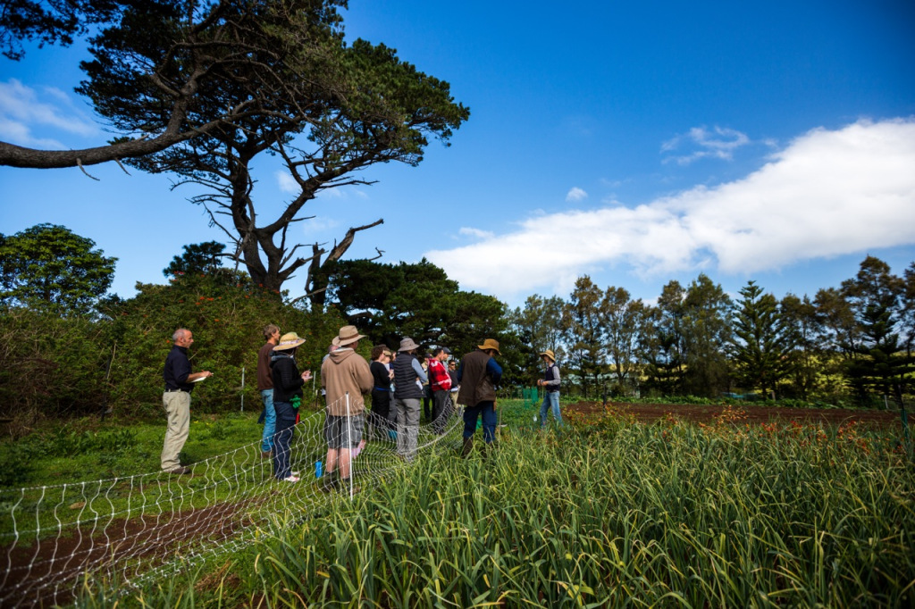 Intro to Market Gardening | Milkwood Permaculture, 13 Sep 2014.