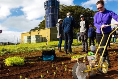Intro to Market Gardening | Milkwood Permaculture, 13 Sep 2014.