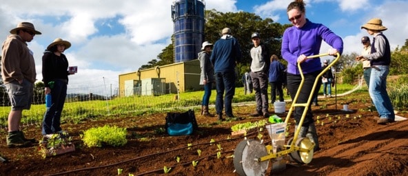 Intro to Market Gardening | Milkwood Permaculture, 13 Sep 2014.
