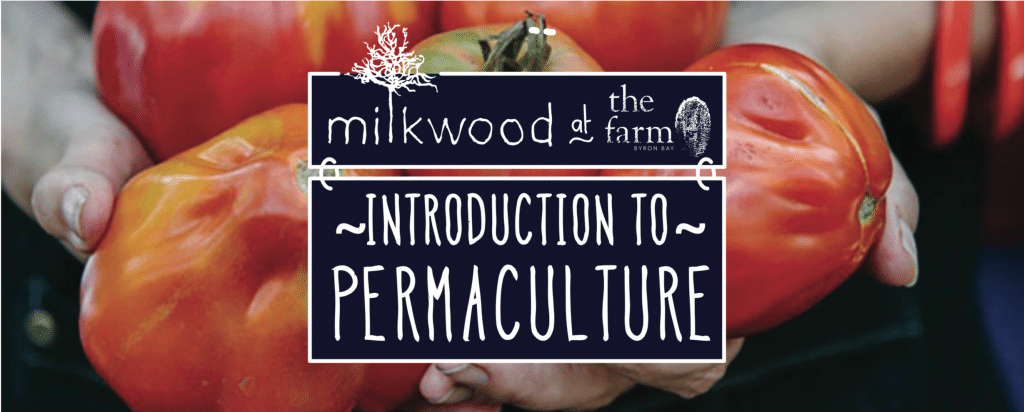 Intro to Permaculture at The Farm