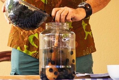 1412 4 ferments – 1