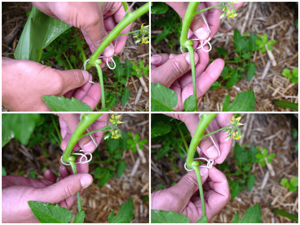 how to tie a bowline knot