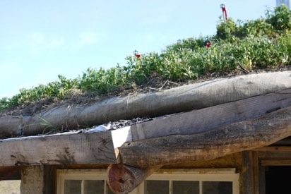 natural building3