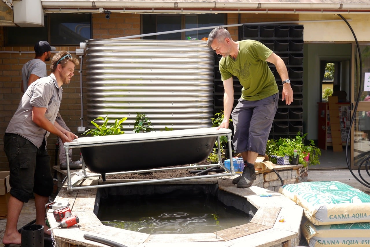 Making a DIY Bathtub Aquaponics System - Milkwood