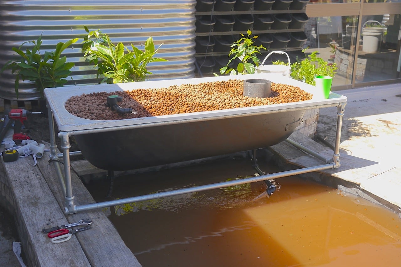 Making a DIY Bathtub Aquaponics System - Milkwood